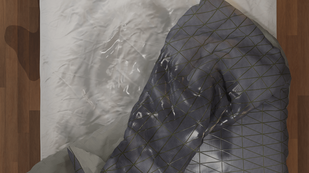 image of 3D model of Wet Bed bird's eye view closeup