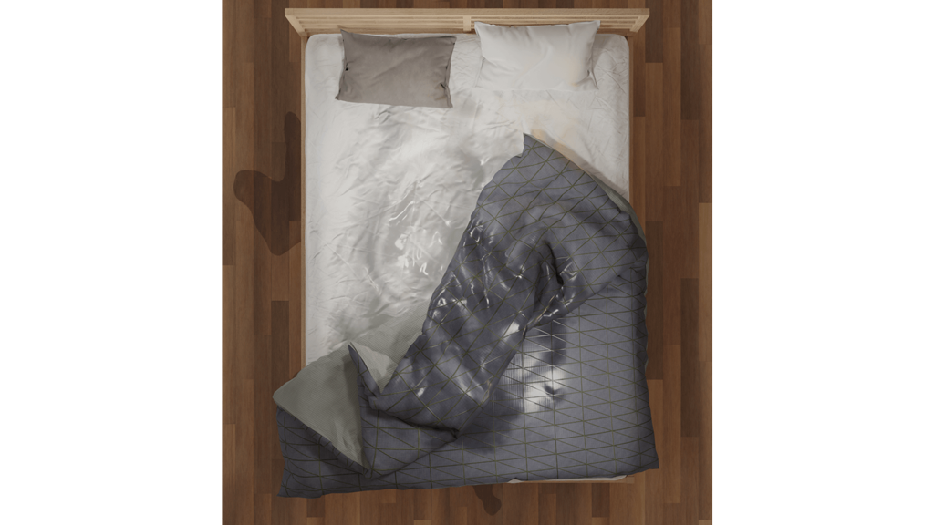 image of 3D model of Wet Bed bird's eye view