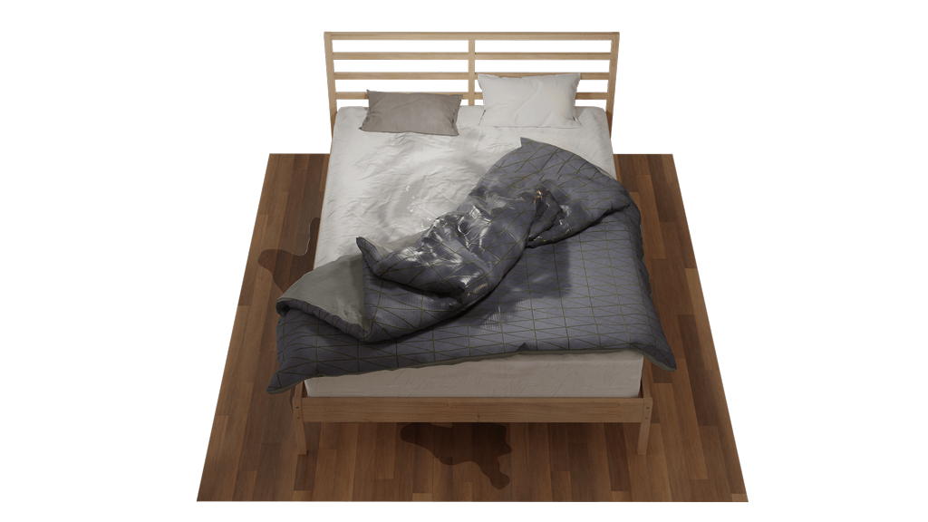 image of 3D model of Wet Bed from top
